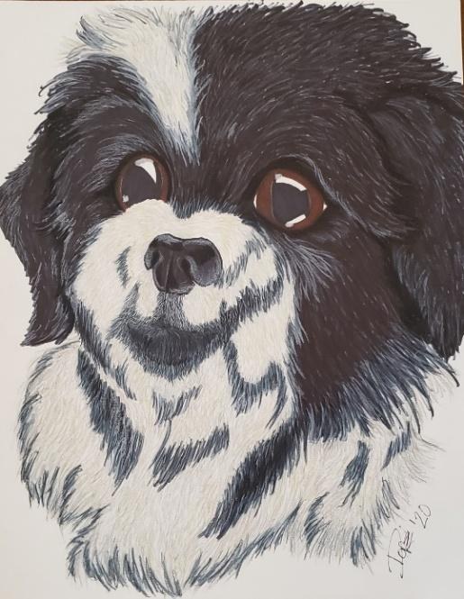 Prismacolor and marker pet portrait